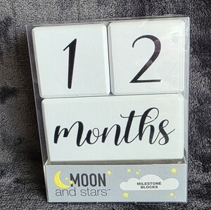 New Baby boy / girl Milestone Blocks White Monthly Weekly Year & Grade Block Set